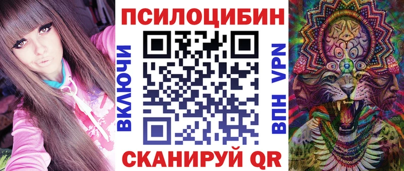 дарнет шоп  Рубцовск  Псилоцибиновые грибы мицелий 